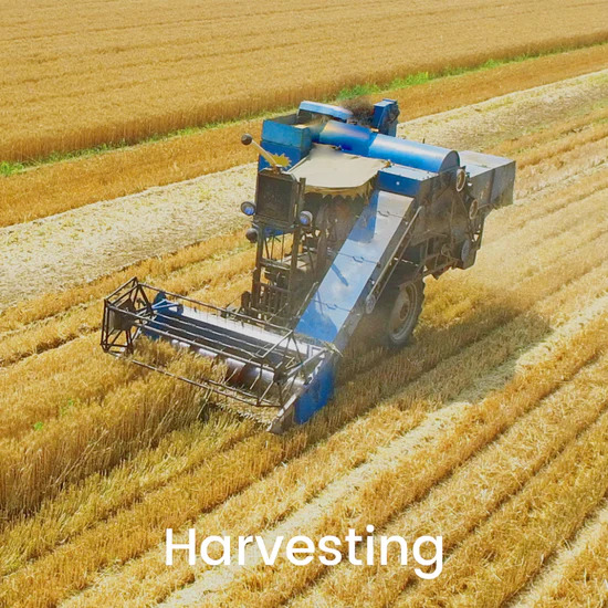 Harvesting